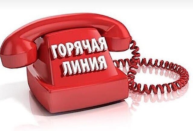 Бесплатную юридическую помощь благовещенцы могут получить на горячей телефонной линии