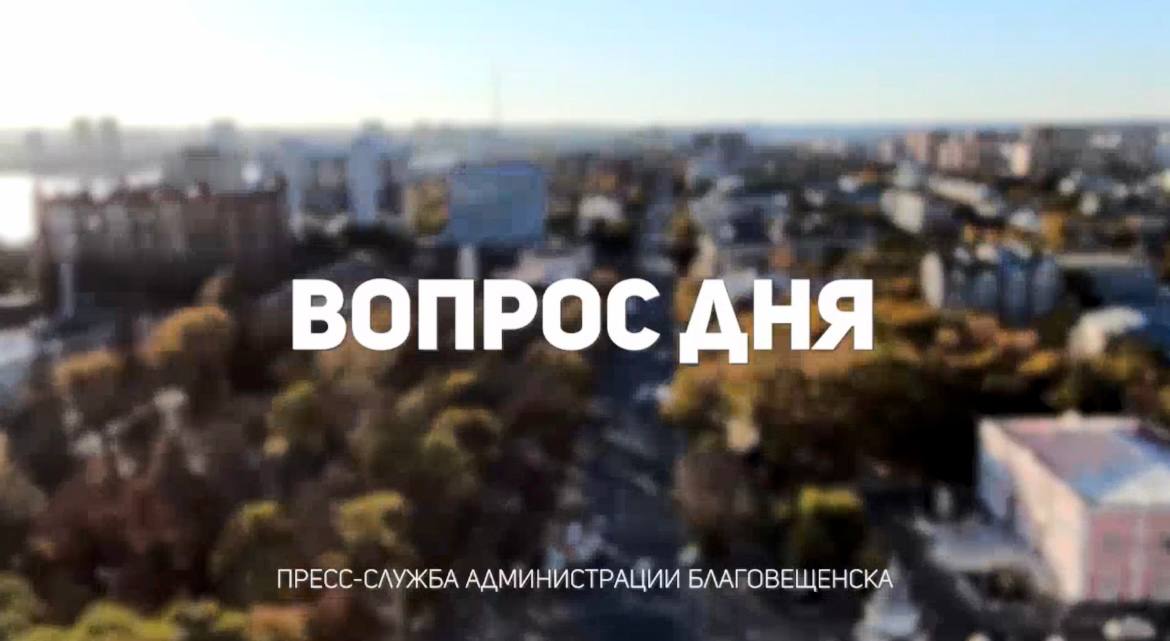 Возле моего дома аварийное дерево, куда мне идти, чтобы провели санитарную обрезку? Возле моего дома аварийное дерево, куда мне идти, чтобы провели санитарную обрезку?