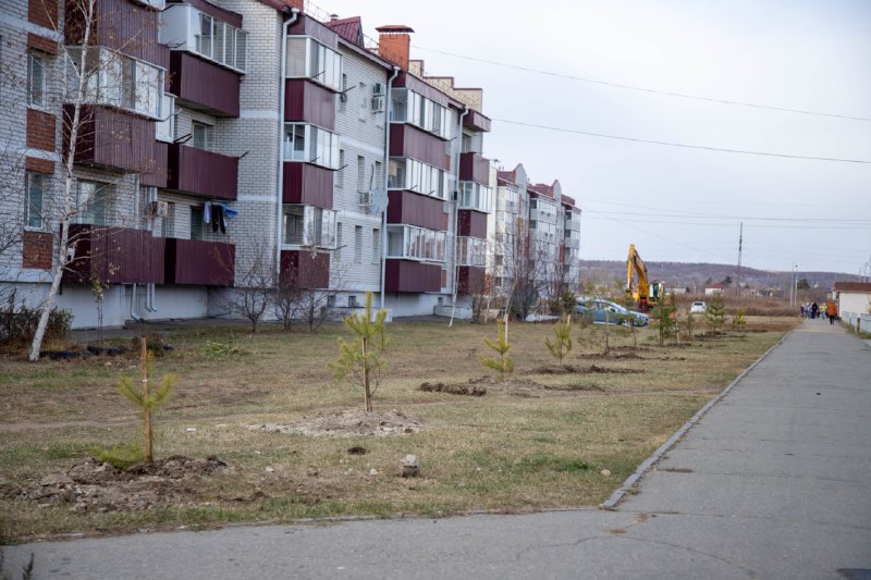 Зачем осенью высаживают саженцы? На этот вопрос ответили в городском управлении ЖКХ Зачем осенью высаживают саженцы? На этот вопрос ответили в городском управлении ЖКХ