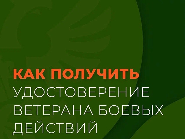 Выплаты и льготы: благовещенцы, служащие в зоне СВО по контракту, могут получить удостоверение ветерана боевых действий 