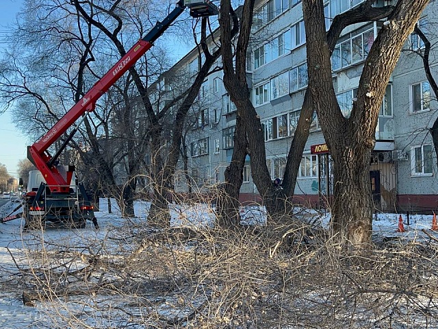 ГСТК убирает ветки, закрывающие обзор на дорогах Благовещенска